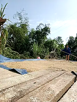 Ocnguyety online show from 29, 10, 2025