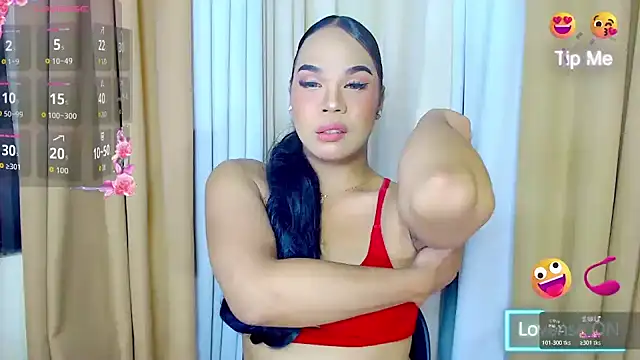 Dream Mistress online show from 3, 11, 2025