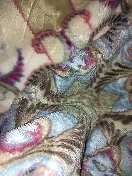 amin20cm online show from 28, 10, 2025