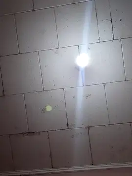 Tudiablita21 online show from 5, 11, 2025