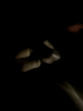 ersoy12 online show from 14, 10, 2025