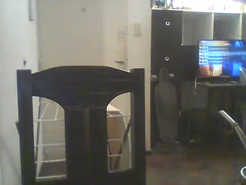 Bebita-zmp online show from 5, 7, 2026