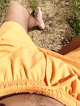 idhem   31 online show from 26, 4, 2026