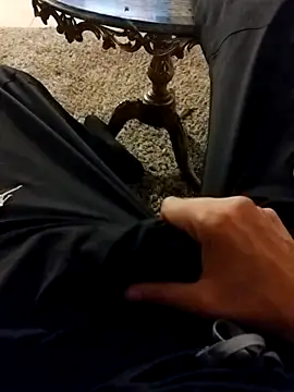 idhem   31 online show from 24, 3, 2026