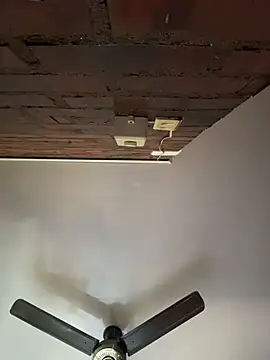 Luxx 14 online show from 22, 9, 2025