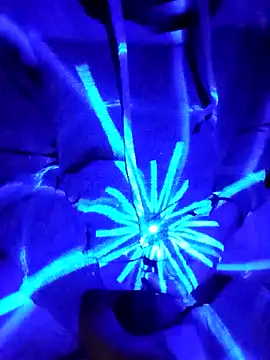 Snapshot of Oaxhot chatting on 30, 10, 2025 Oaxhot online show from 30, 10, 2025