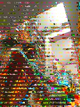 ISHANI-SINGH online show from 29, 11, 2025