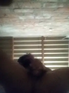 jocafe1995 online show from 21, 4, 2026