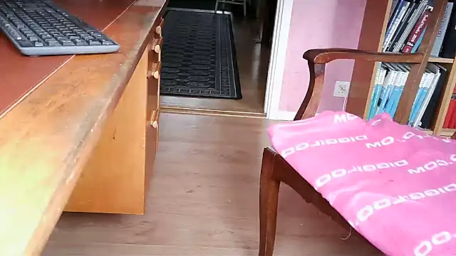 Solek56 online show from 14, 4, 2026