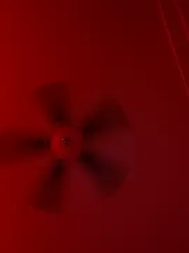 Taydagr8 online show from 19, 9, 2025