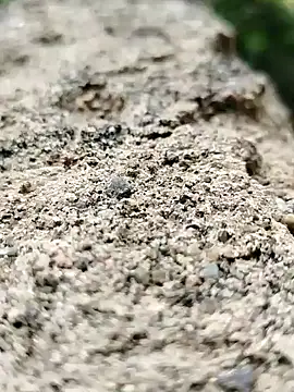 Girls pussy rider online show from 14, 9, 2025