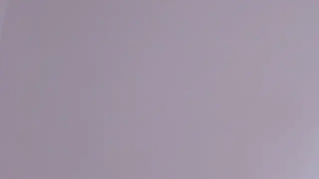 axel davis  online show from 24, 2, 2026