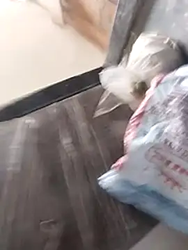 Snapshot of Wet_BunnyFun chatting on 25, 2, 2026 Wet BunnyFun online show from 25, 2, 2026