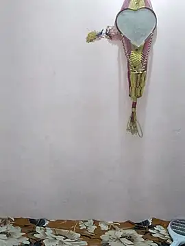 sneha bebo online show from 31, 3, 2026