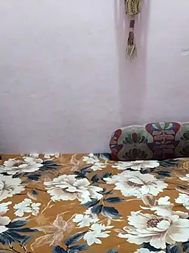 sneha bebo online show from 24, 2, 2026