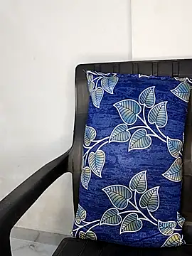 sneha bebo online show from 29, 11, 2025