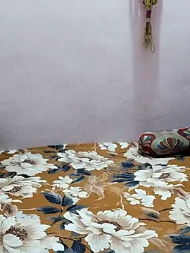 sneha bebo online show from 13, 3, 2026