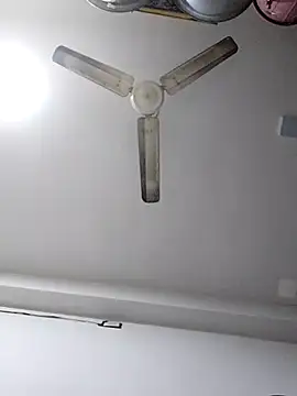 sneha bebo online show from 20, 12, 2025