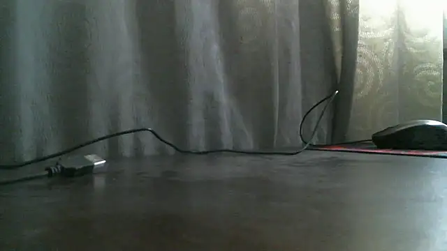  ari gato  online show from 4, 11, 2025