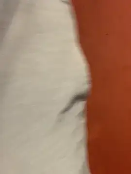 jabulani2600 online show from 22, 2, 2026