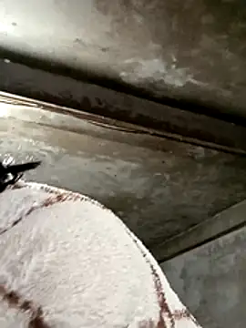 maple694 online show from 9, 1, 2026