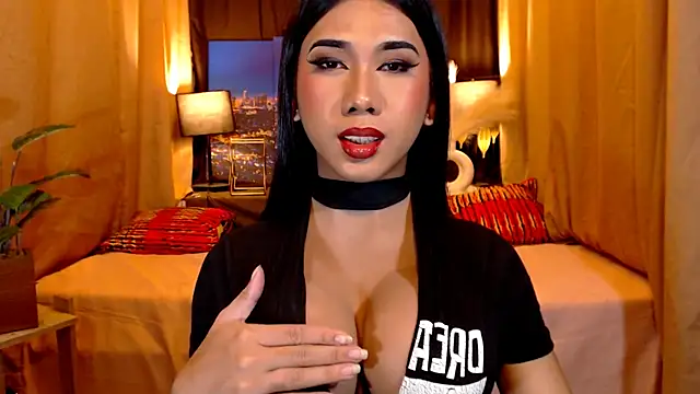 TRANSPORNIDOL online show from 8, 5, 2026