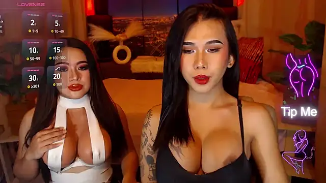 TRANSPORNIDOL online show from 20, 7, 2026