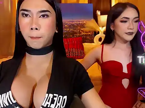 TRANSPORNIDOL online show from 28, 5, 2026