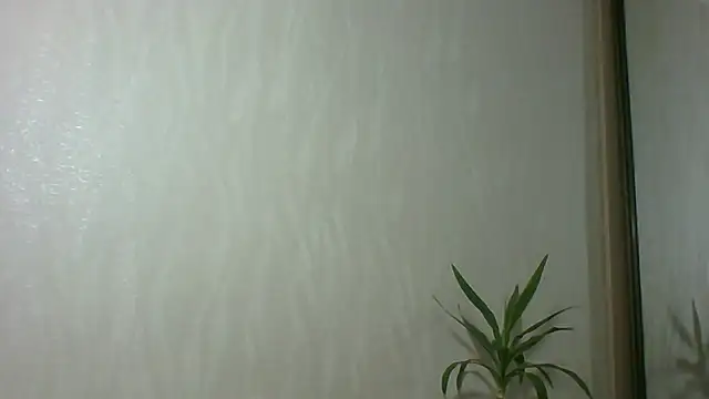 Marellaa online show from 4, 12, 2025