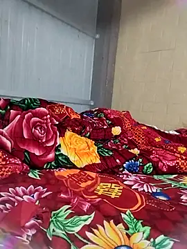 moa koa online show from 24, 2, 2026