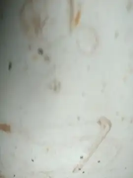 Mounstro3 online show from 28, 11, 2025