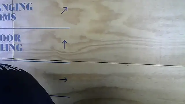 mason fit online show from 17, 11, 2025