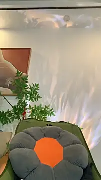 zhizhinaigai online show from 30, 3, 2026