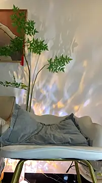 zhizhinaigai online show from 16, 2, 2026