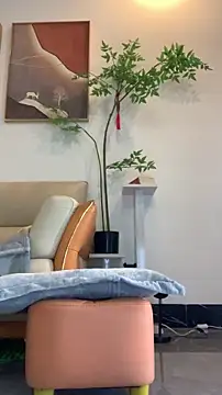 zhizhinaigai online show from 19, 1, 2026