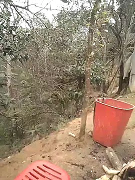 Chaotam1 online show from 21, 11, 2025