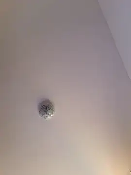 alinaalinutzq online show from 3, 11, 2025