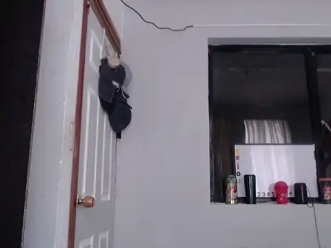 xalejo max online show from 28, 10, 2025