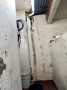 Brayanellatino online show from 6, 4, 2026