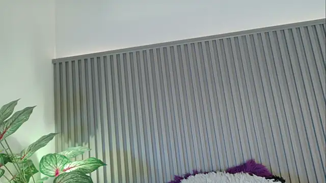 Celeste Presstigge online show from 24, 11, 2025