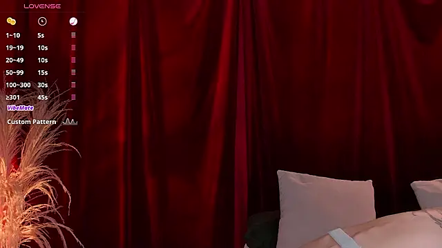 VicenteFerrer online show from 1, 2, 2026