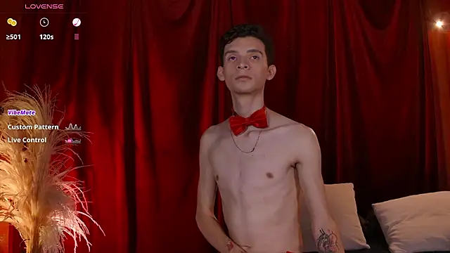 VicenteFerrer online show from 13, 2, 2026