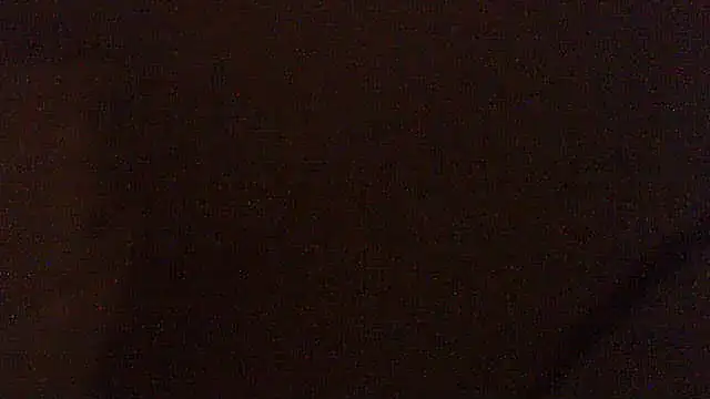 pietje1991 online show from 3, 6, 2026
