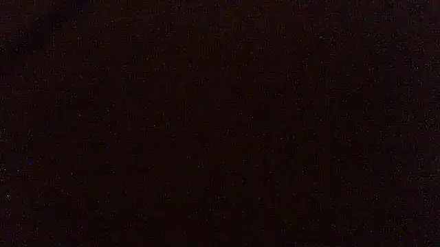 pietje1991 online show from 2, 4, 2026