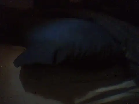 pietje1991 online show from 18, 3, 2026