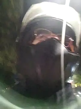 Pamelamiler   online show from 31, 3, 2026