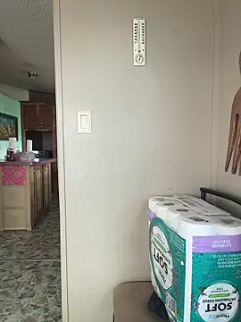 TranSexualJade95 online show from 12, 4, 2026