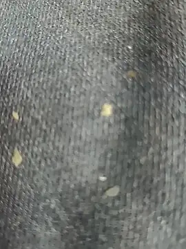 Narckse online show from 15, 9, 2025