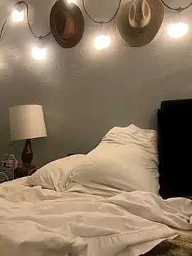 thejohnryancollection online show from 4, 11, 2025