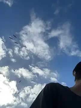 thejohnryancollection online show from 22, 10, 2025